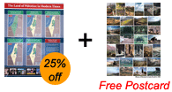The poster of Palestine in Modern Times